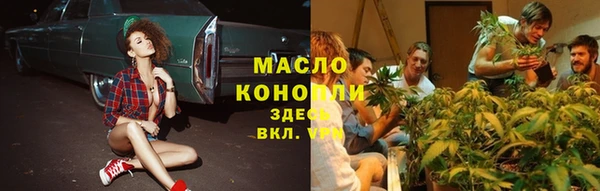 шишки Верея