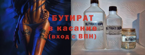 шишки Верея