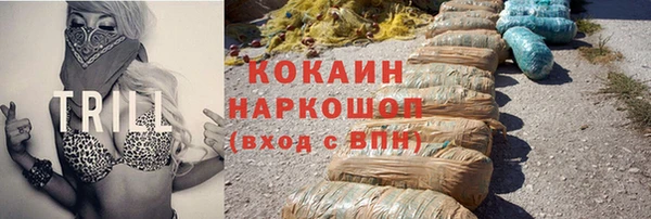 шишки Верея