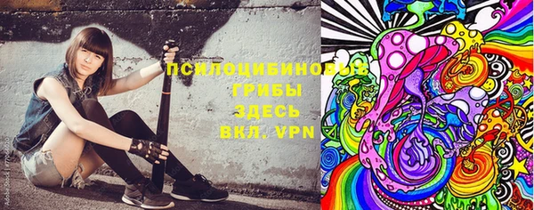 шишки Верея